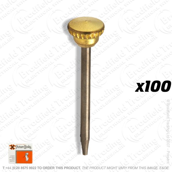 G09) Picture Pins Brass Head (100) Box