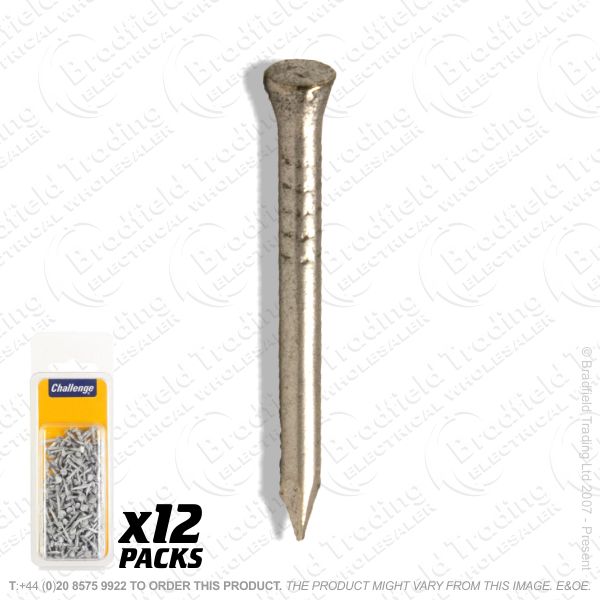 G08) Panel Pins Stainless 20mm 3/4  75g BP