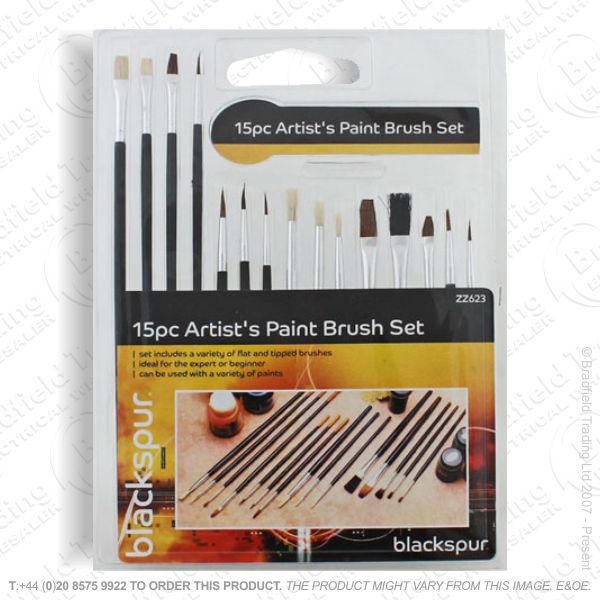 C25) Artist Paint Brush Set ECO